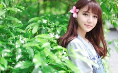 老鼠仓什么意思